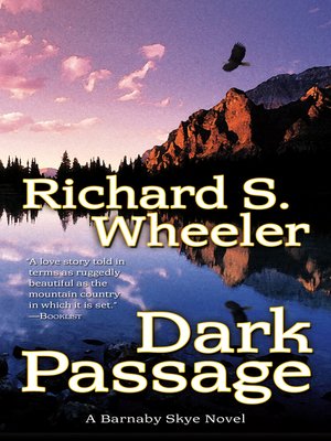 cover image of Dark Passage